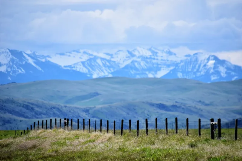 Reefer truck dispatch services in Montana